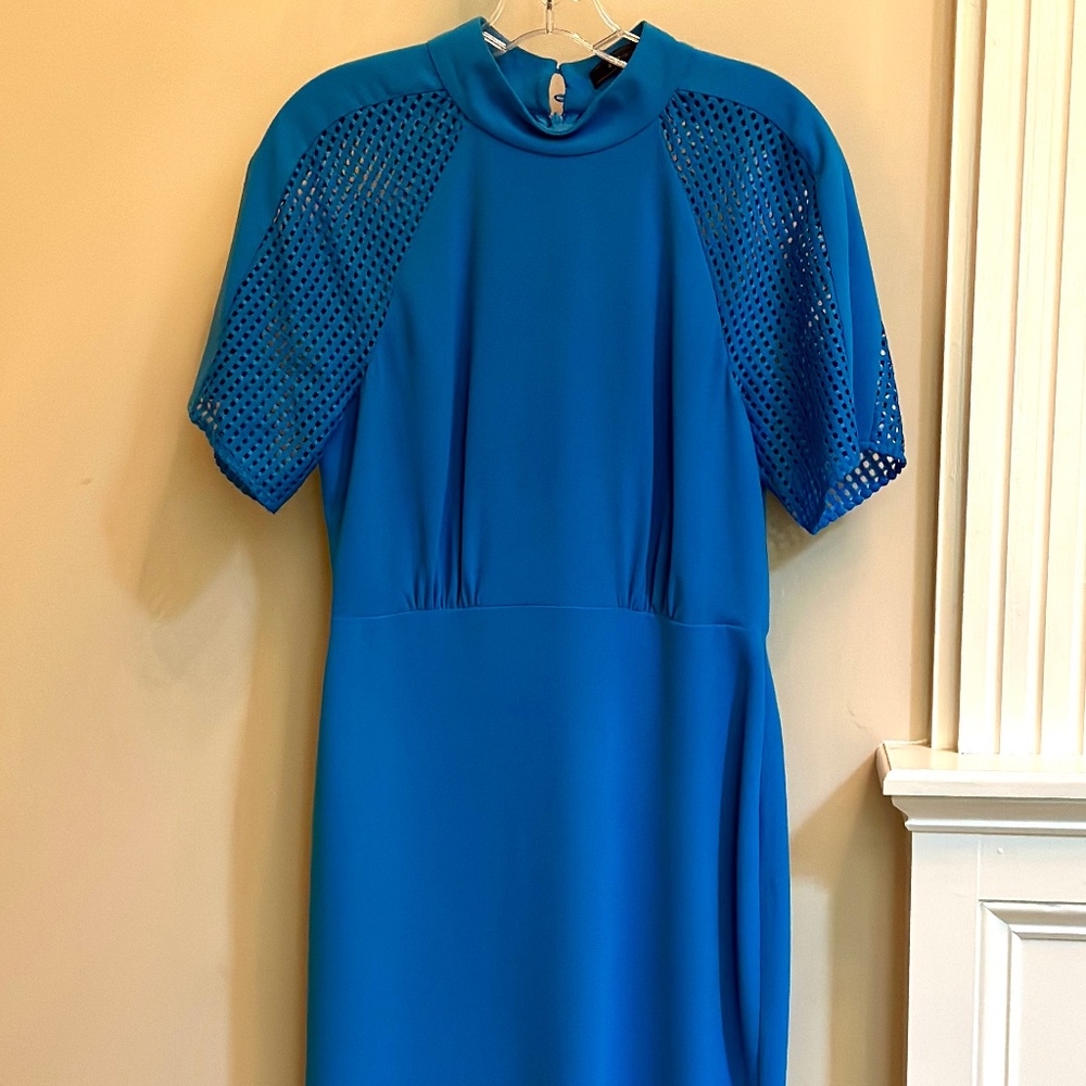 Blue BCBG Max Azria dress